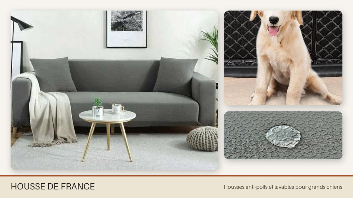 Housse de canapé pour golden retriever : protection anti-poils, résistante et lavable - Housse de France