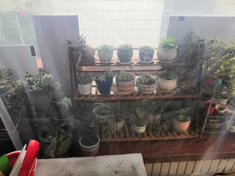 Bâche Imperméable Transparente VIVENO Housse de France