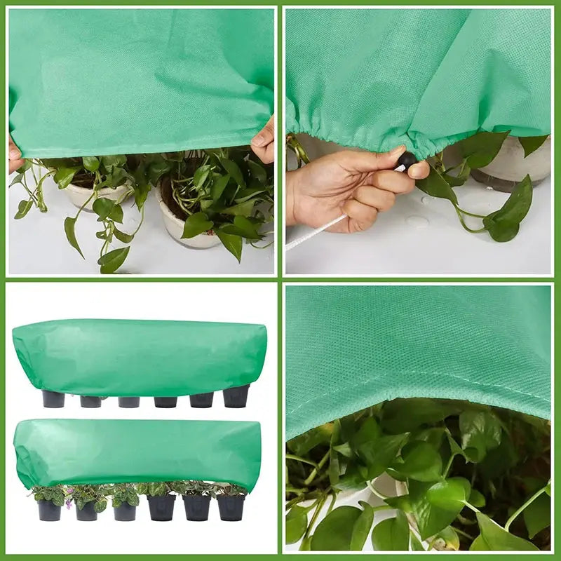 Housse Hivernage Plante Non-Tissé FLOREX Housse de France