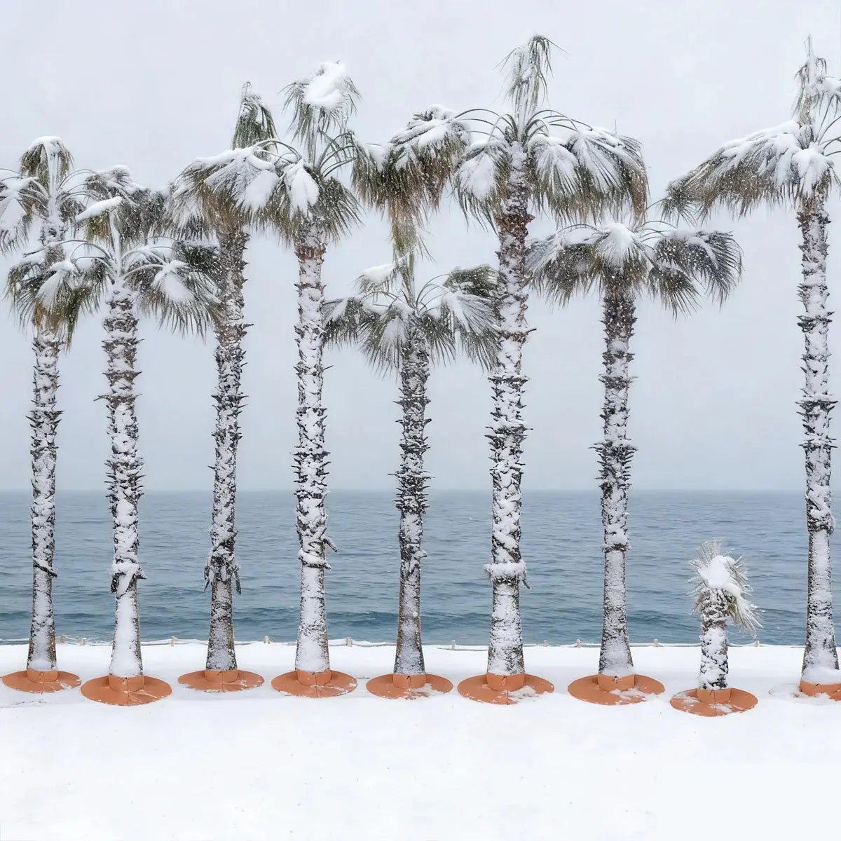 Housse Hivernage Végétale THERALO Housse de France