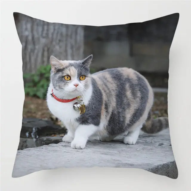 Housse de Coussin Décorative FELINO 9Style