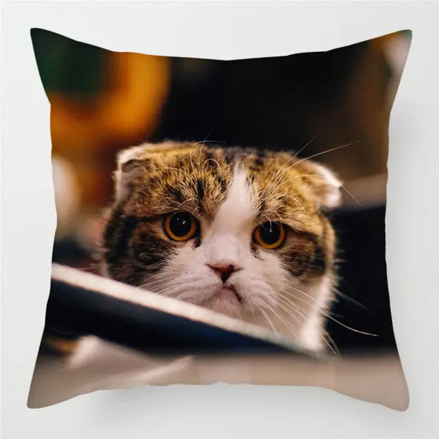 Housse de Coussin Décorative FELINO 15Style