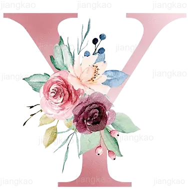 Housse de Coussin Personnalisée Amarela Housse de France