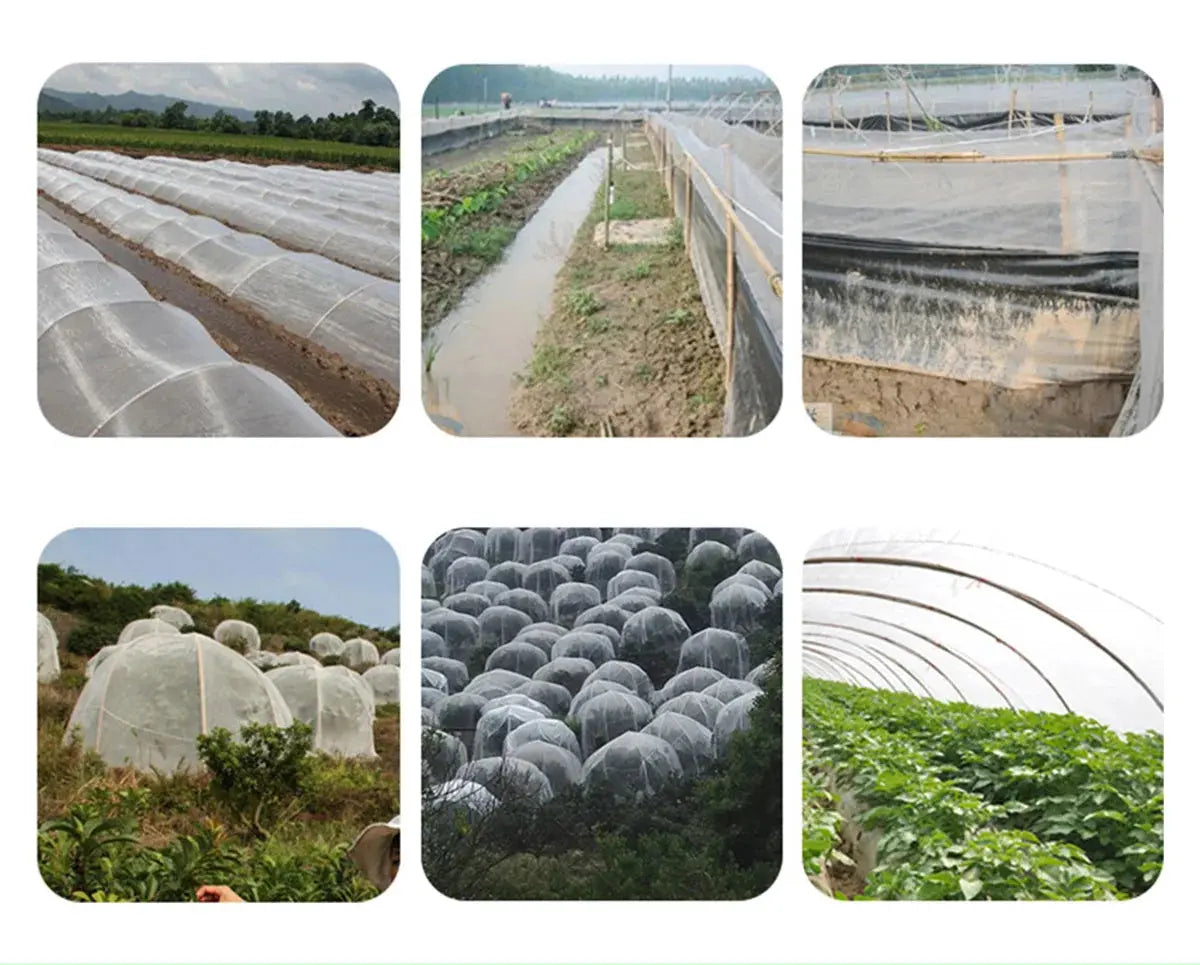 Serre à Plantes Pliable Végétale AERIO Housse de France