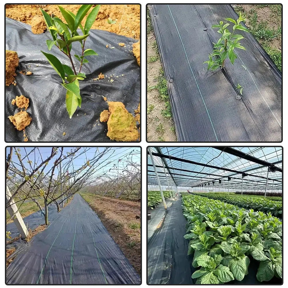 Voile Hivernage Nylon Protectiq Housse de France