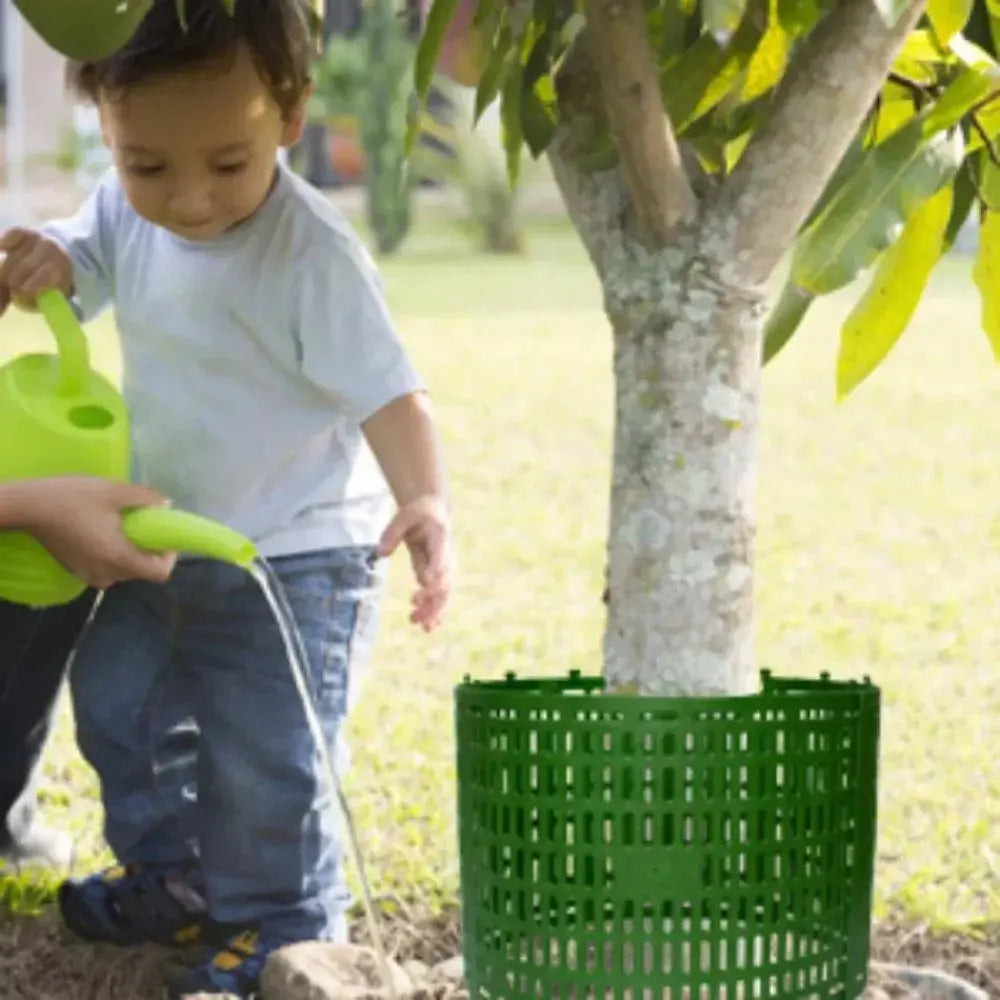 Voile Hivernage Plastique Protecteur ARBOLIS Housse de France
