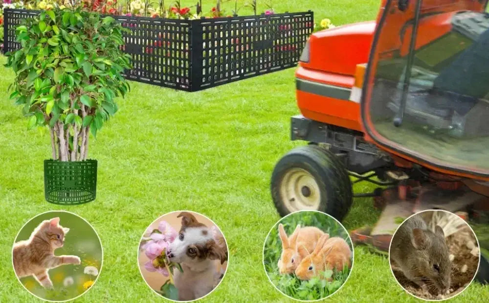 Voile Hivernage Plastique Protecteur ARBOLIS Housse de France