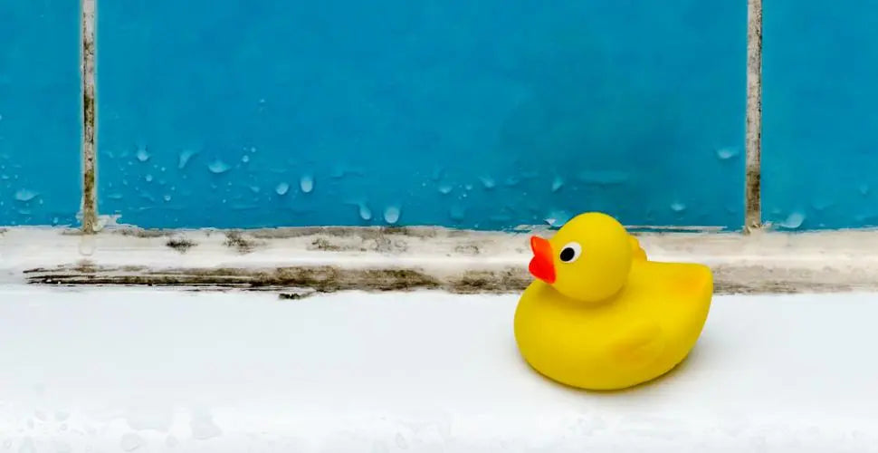 Bleu-canard-votre-nouvelle-couleur-préférée Housse De France