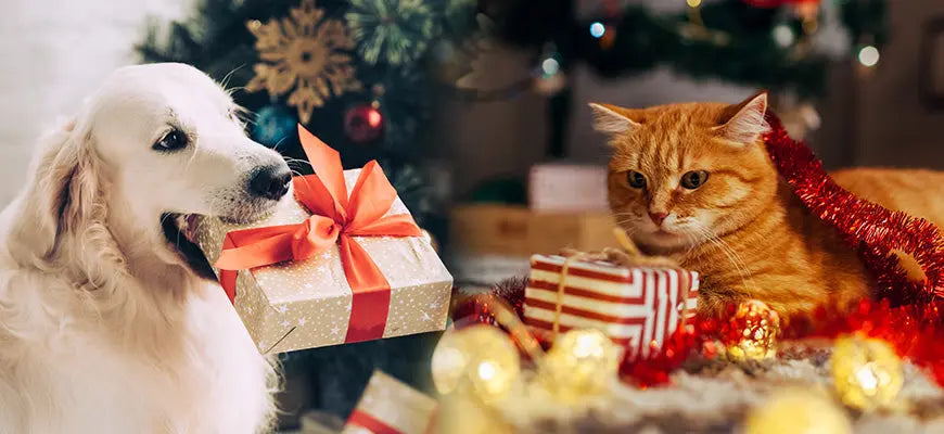 Cadeaux-de-noël-pour-chien-et-chats Housse De France