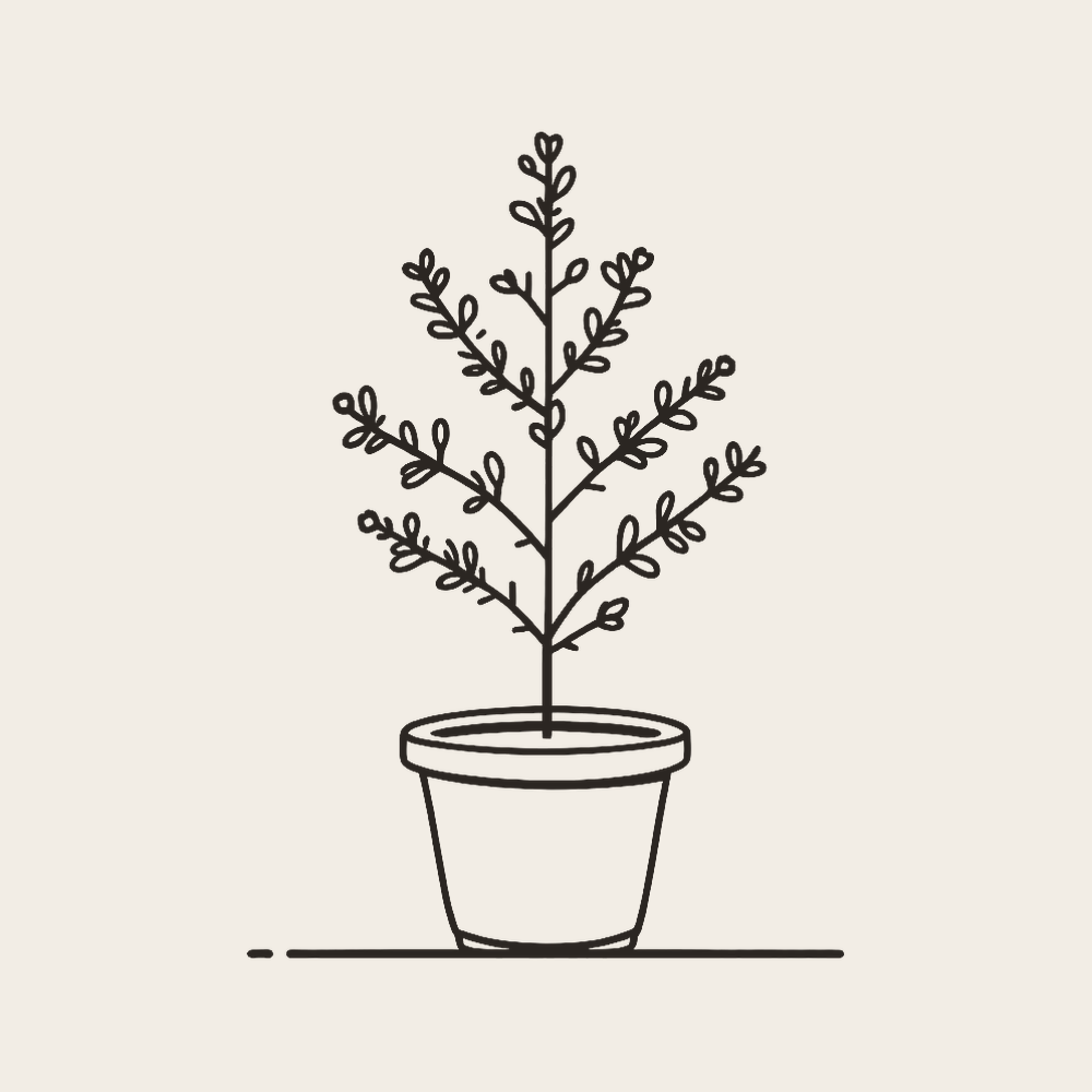Voiles et housses d’hivernage pour plantes et arbustes - Housse de France