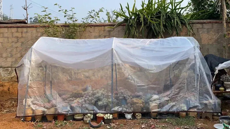 Bâche Imperméable Transparente VIVENO Housse de France
