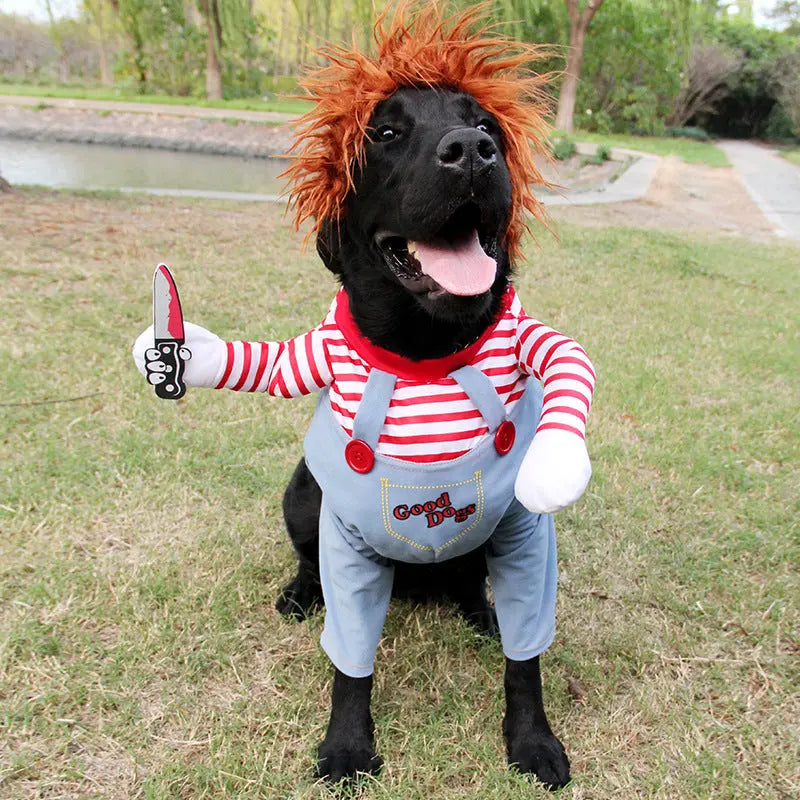 Costume Halloween pour Chien SCARRY Housse de France