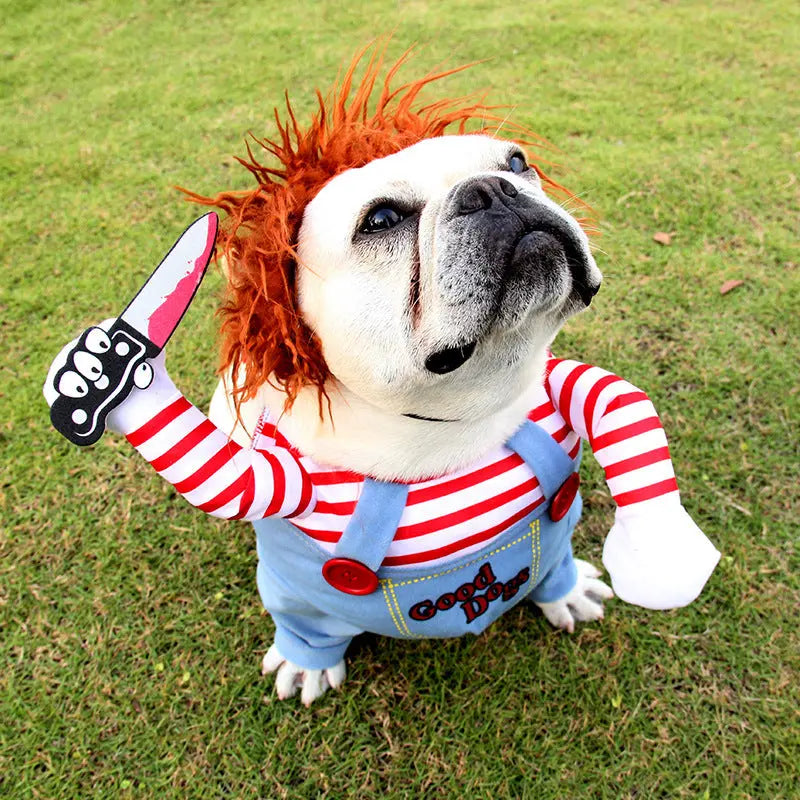 Costume Halloween pour Chien SCARRY Housse de France