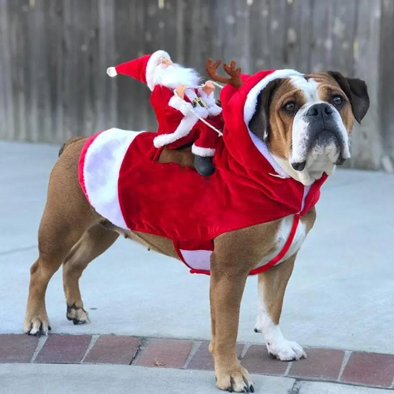 Costume Mignon de chien Père Noel - Housse De France - Housse De France