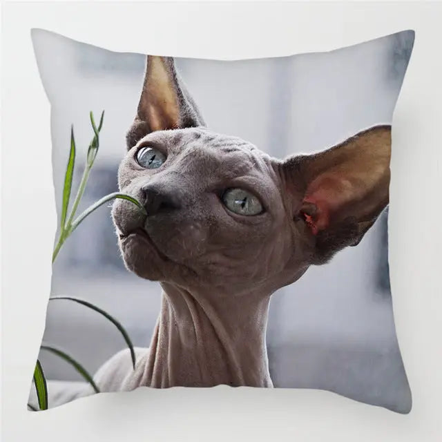 Housse de Coussin Décorative FELINO 3Style