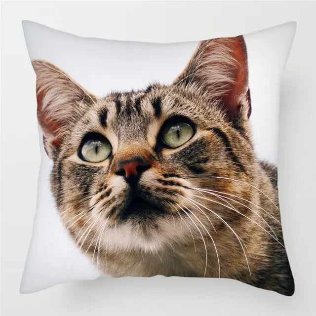 Housse de Coussin Décorative FELINO 6Style