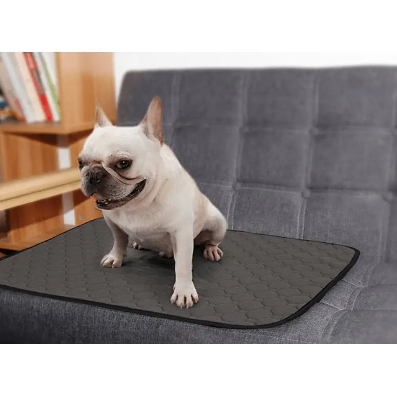 Housse de protection absorbant pour Chien - Housse De France