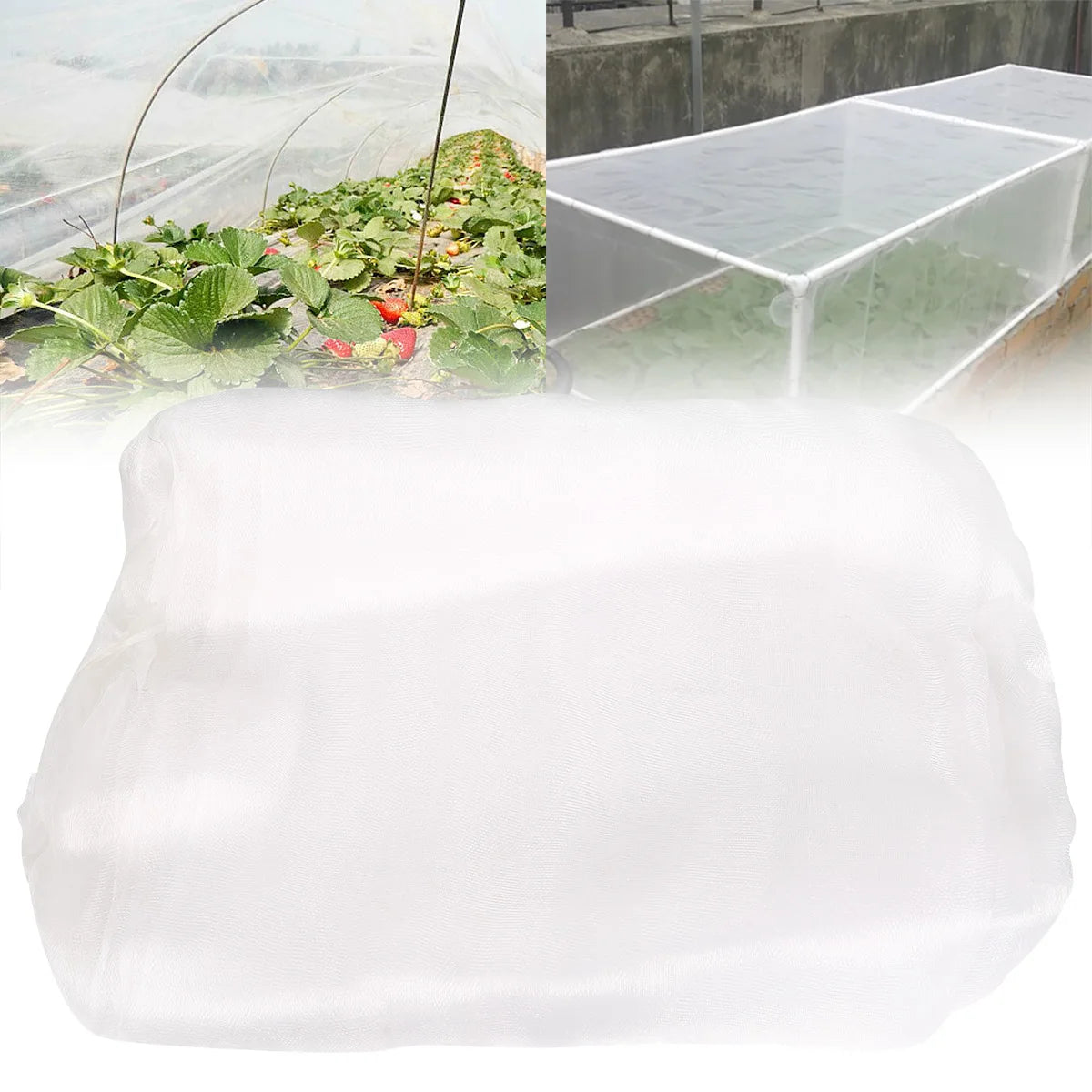 Serre à Plantes Pliable Végétale AERIO