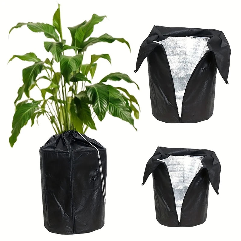 Housse Hivernage Plante Oxford GLACIA