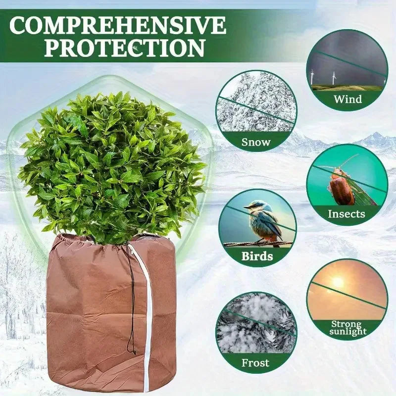 Housse Hivernage Plante Oxford GLACIA
