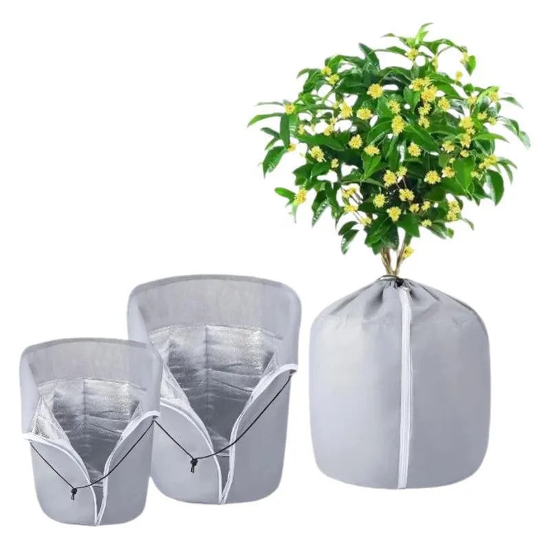 Housse Hivernage Plante Oxford GLACIA