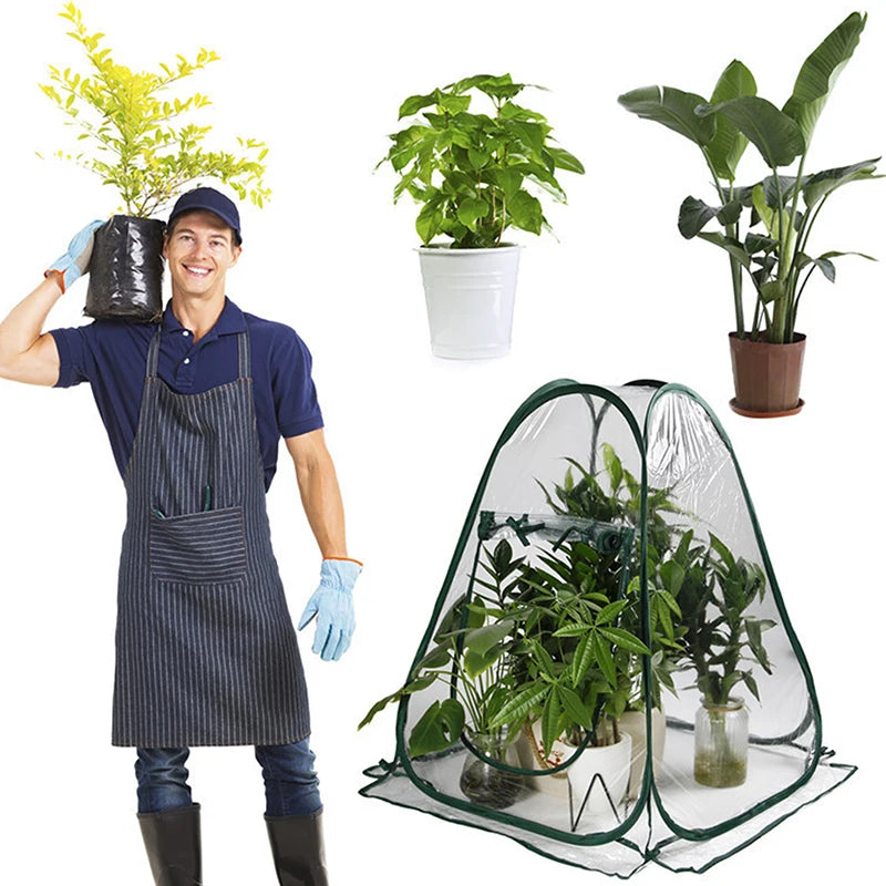 Serre à Plantes PVC Pop-Up VERDANO