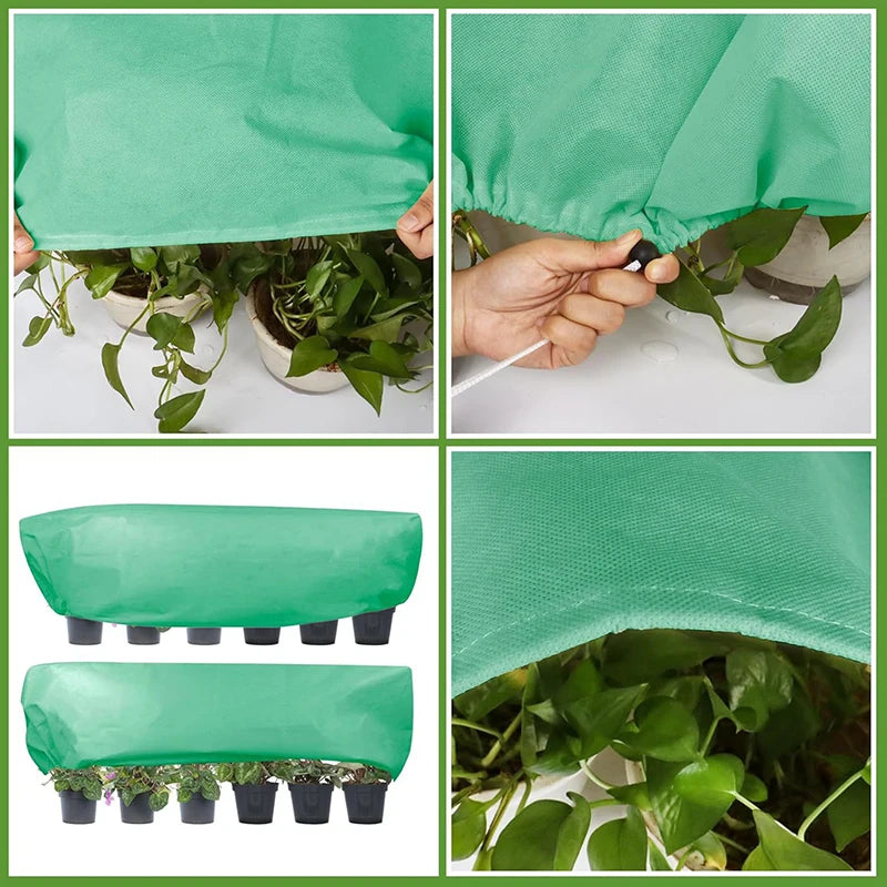 Housse Hivernage Plante Non-Tissé FLOREX