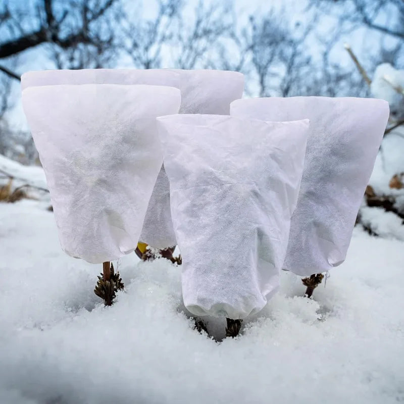 Sac Antigel Pour Plante Non-Tissé FROSTEX