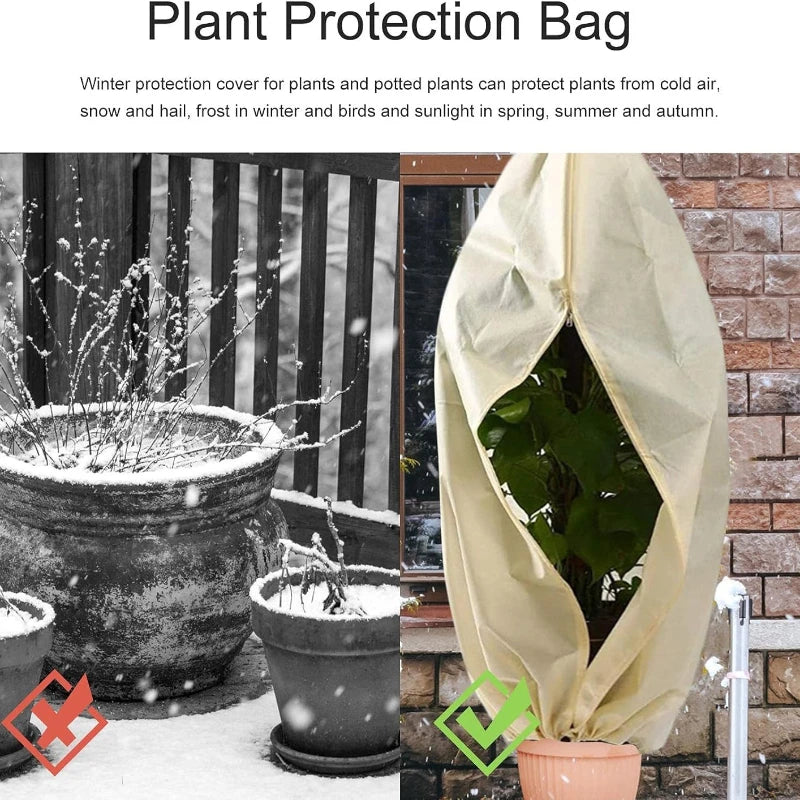 Voile Hivernage Plante Non Tissé ARBOZIN