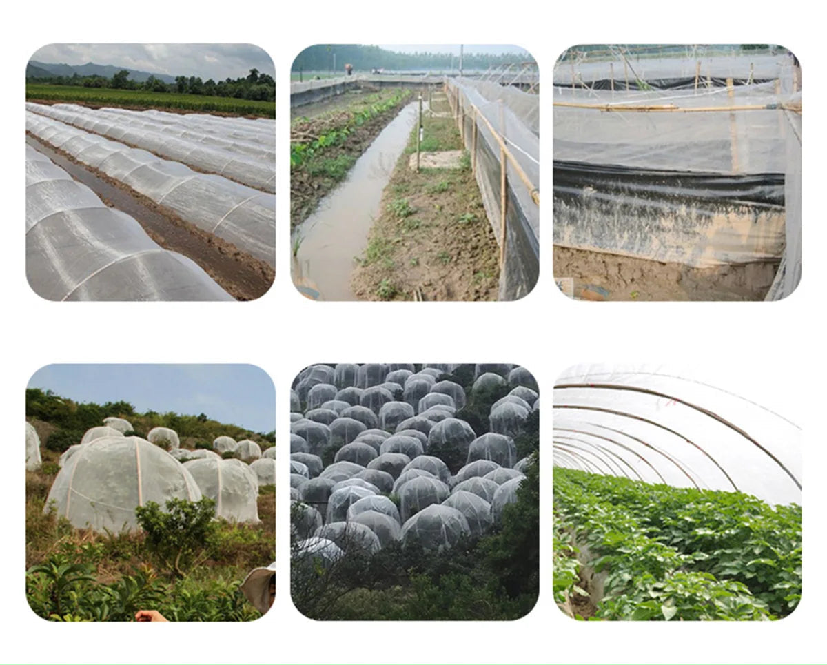 Serre à Plantes Pliable Végétale AERIO