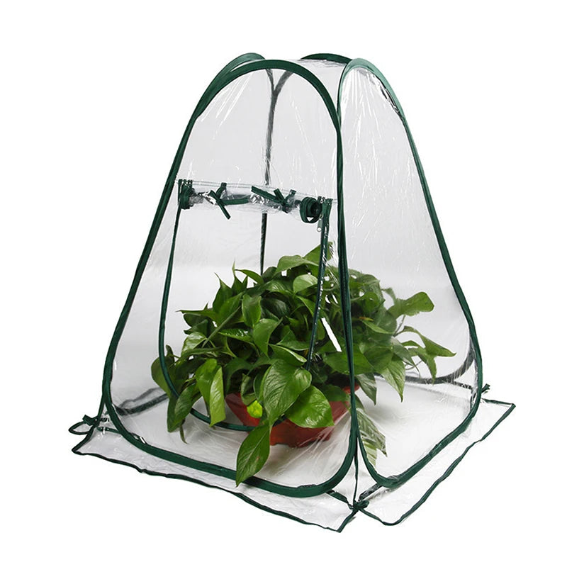 Serre à Plantes PVC Pop-Up VERDANO