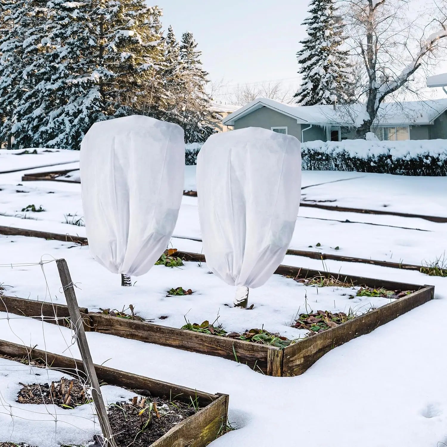 Voile Hivernage Plante Non Tissé ARBOZIN