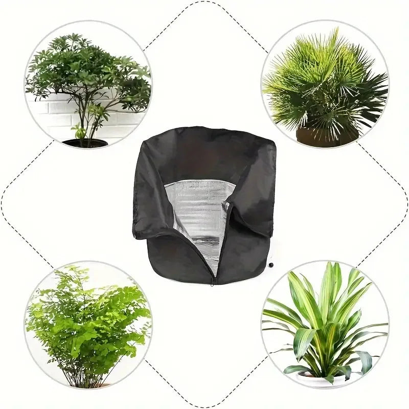 Housse Hivernage Plante Oxford GLACIA