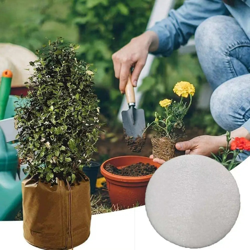 Housse Hivernage Plante Résistante POLISO