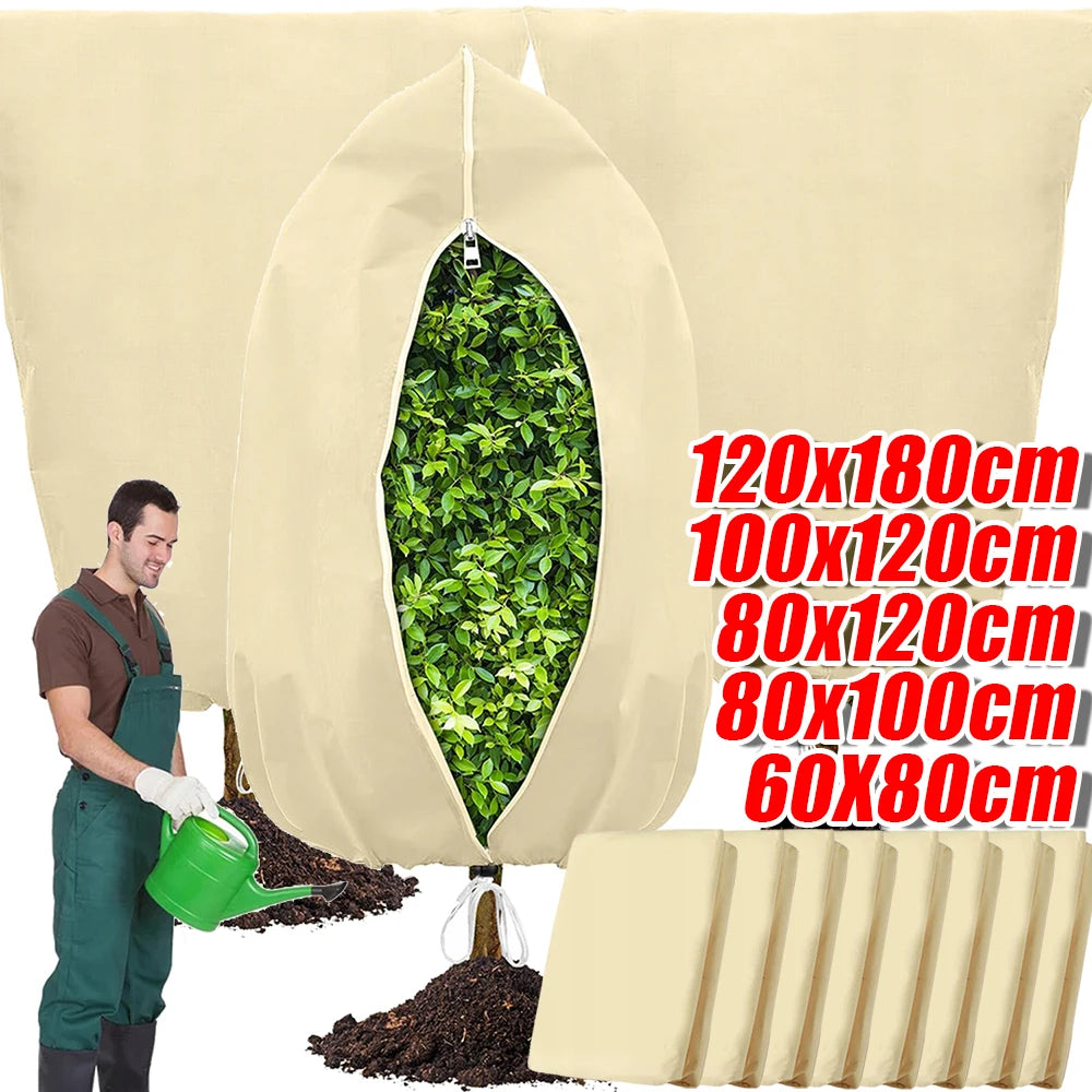 Voile Hivernage Plante Non Tissé ARBOZIN