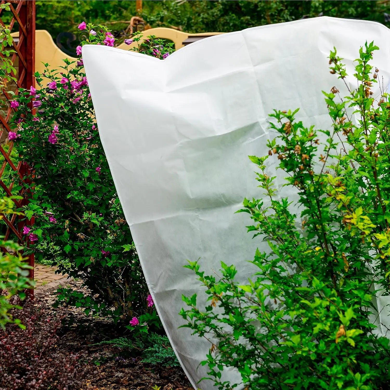 Voile Hivernage Plante Non Tissé ARBOZIN