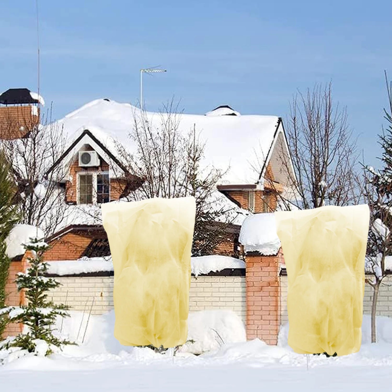 Voile Hivernage Plante Non Tissé ARBOZIN