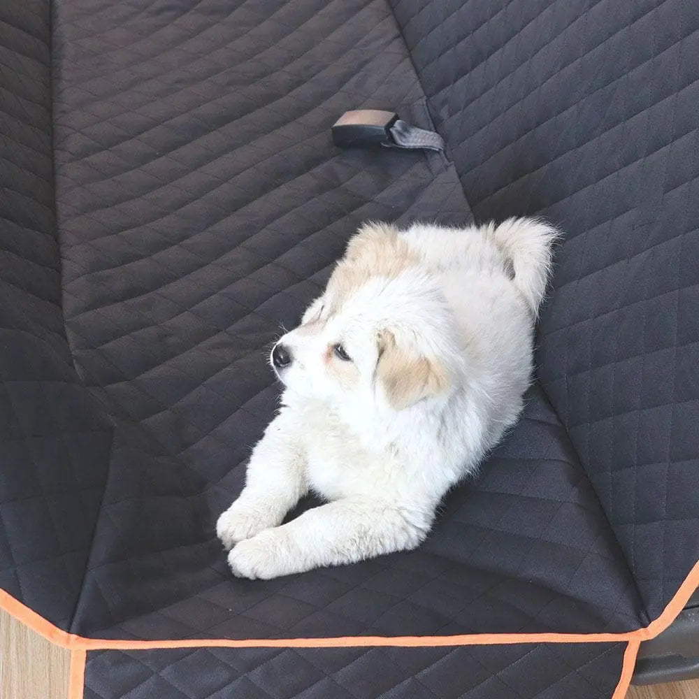 Tapis auto pour animaux de compagnie - Housse De France