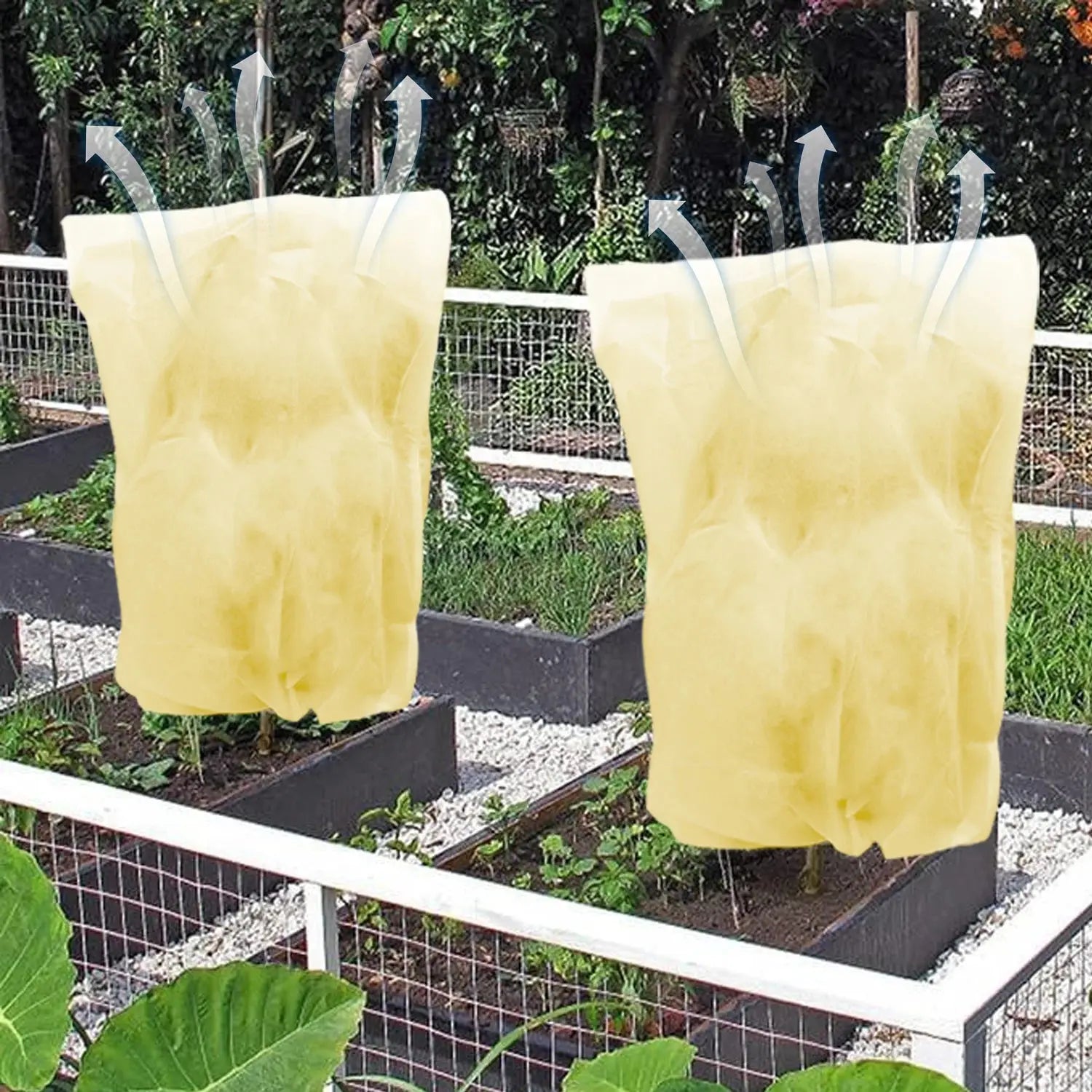 Voile Hivernage Plante Non Tissé ARBOZIN Housse de France