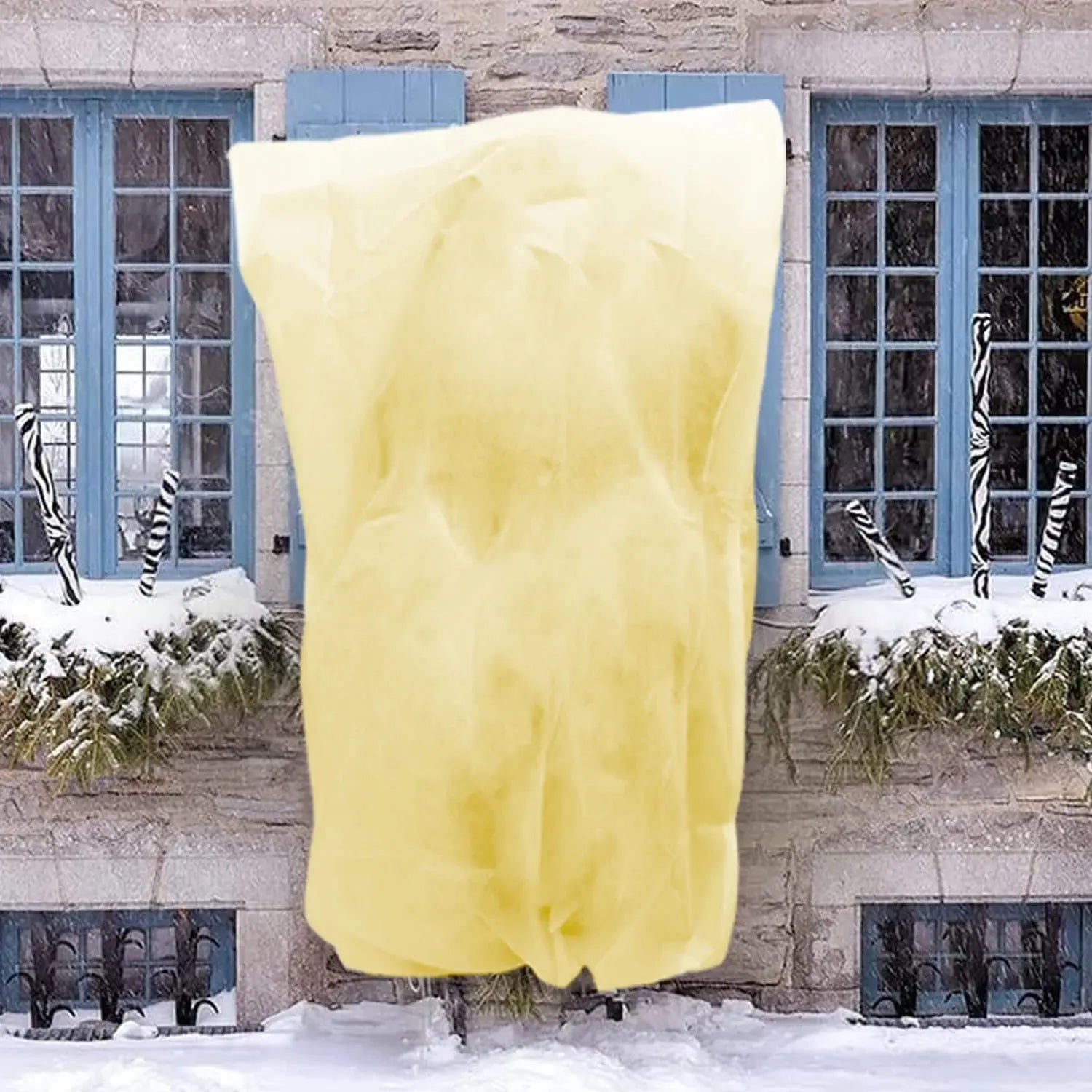 Voile Hivernage Plante Non Tissé ARBOZIN Housse de France