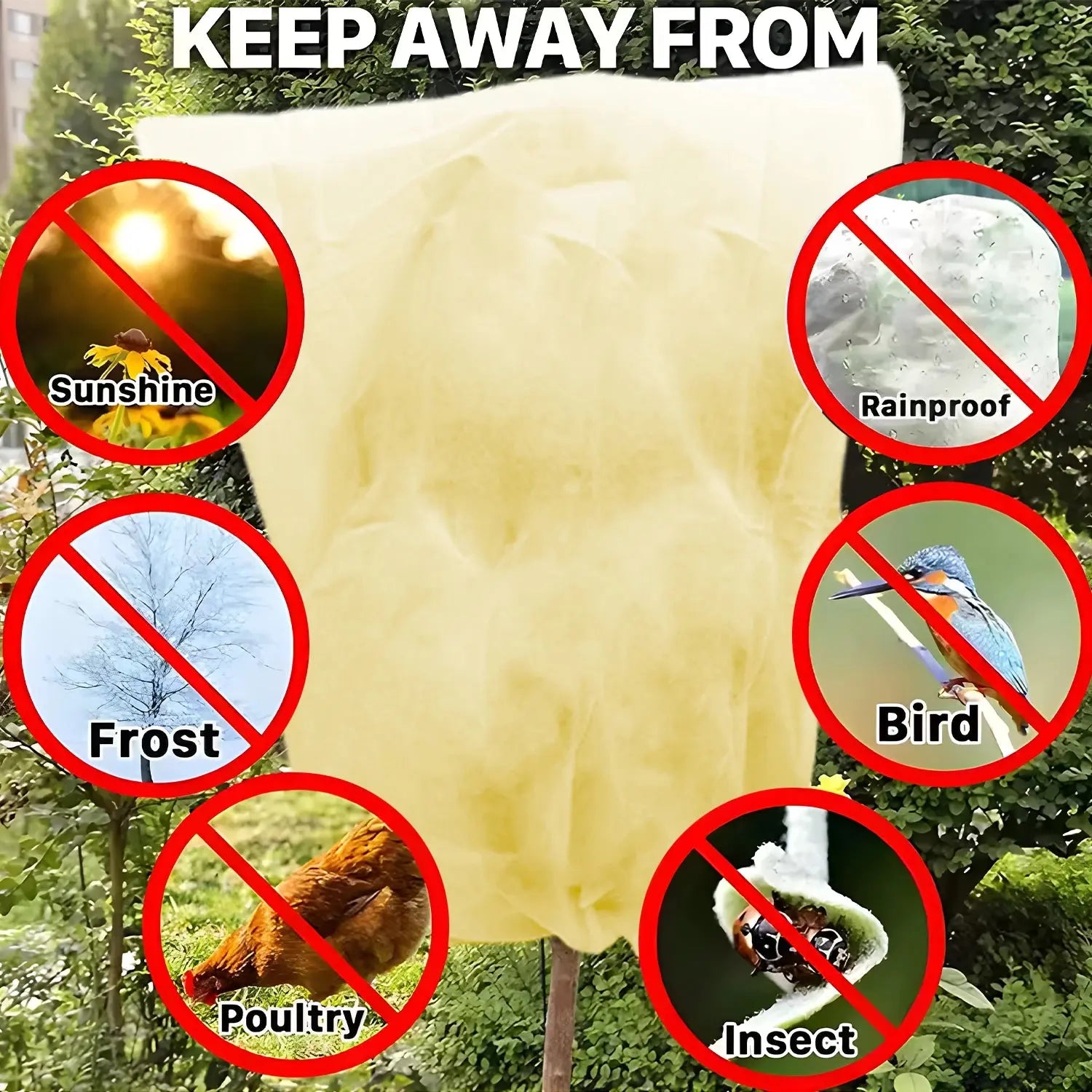 Voile Hivernage Plante Non Tissé ARBOZIN Housse de France