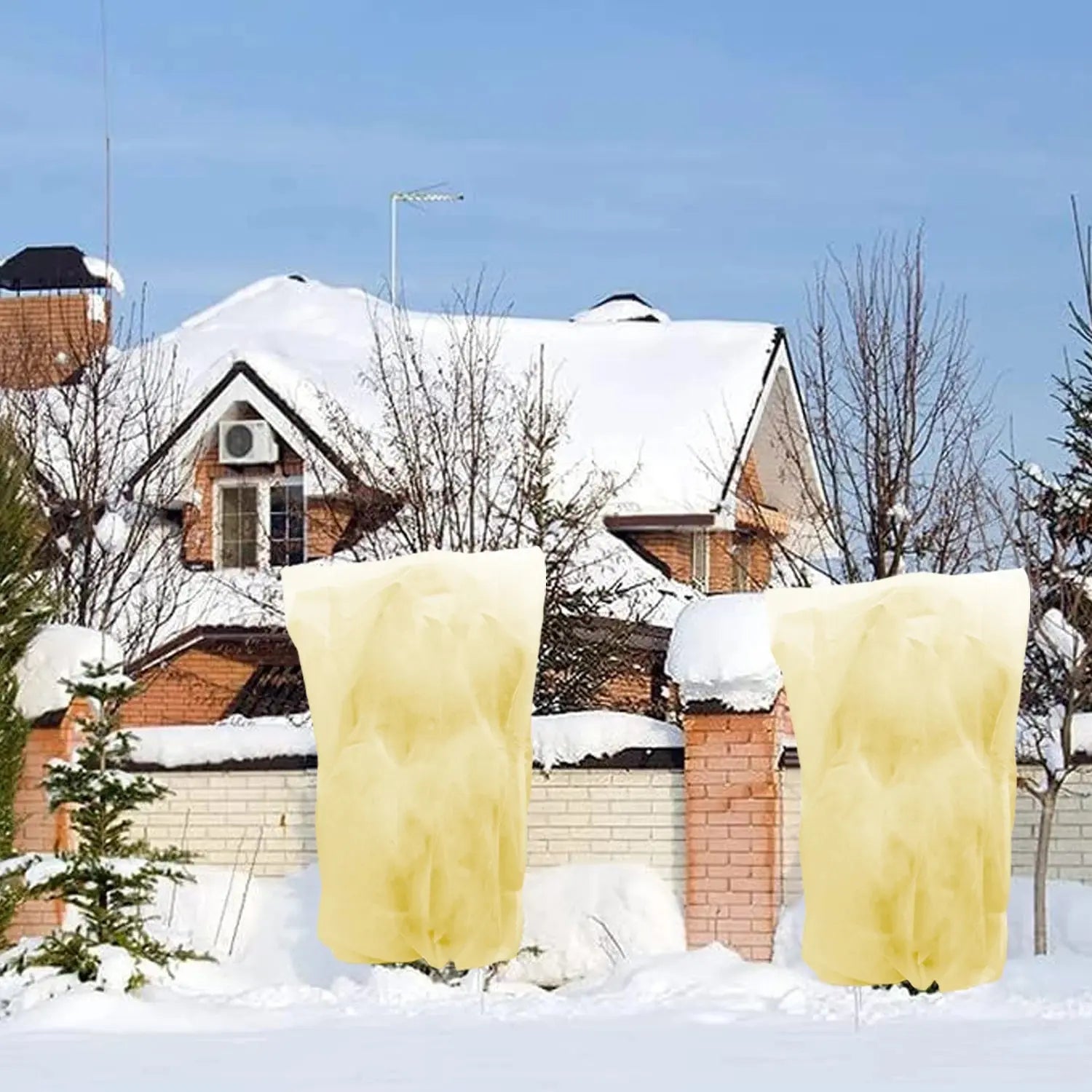 Voile Hivernage Plante Non Tissé ARBOZIN Housse de France