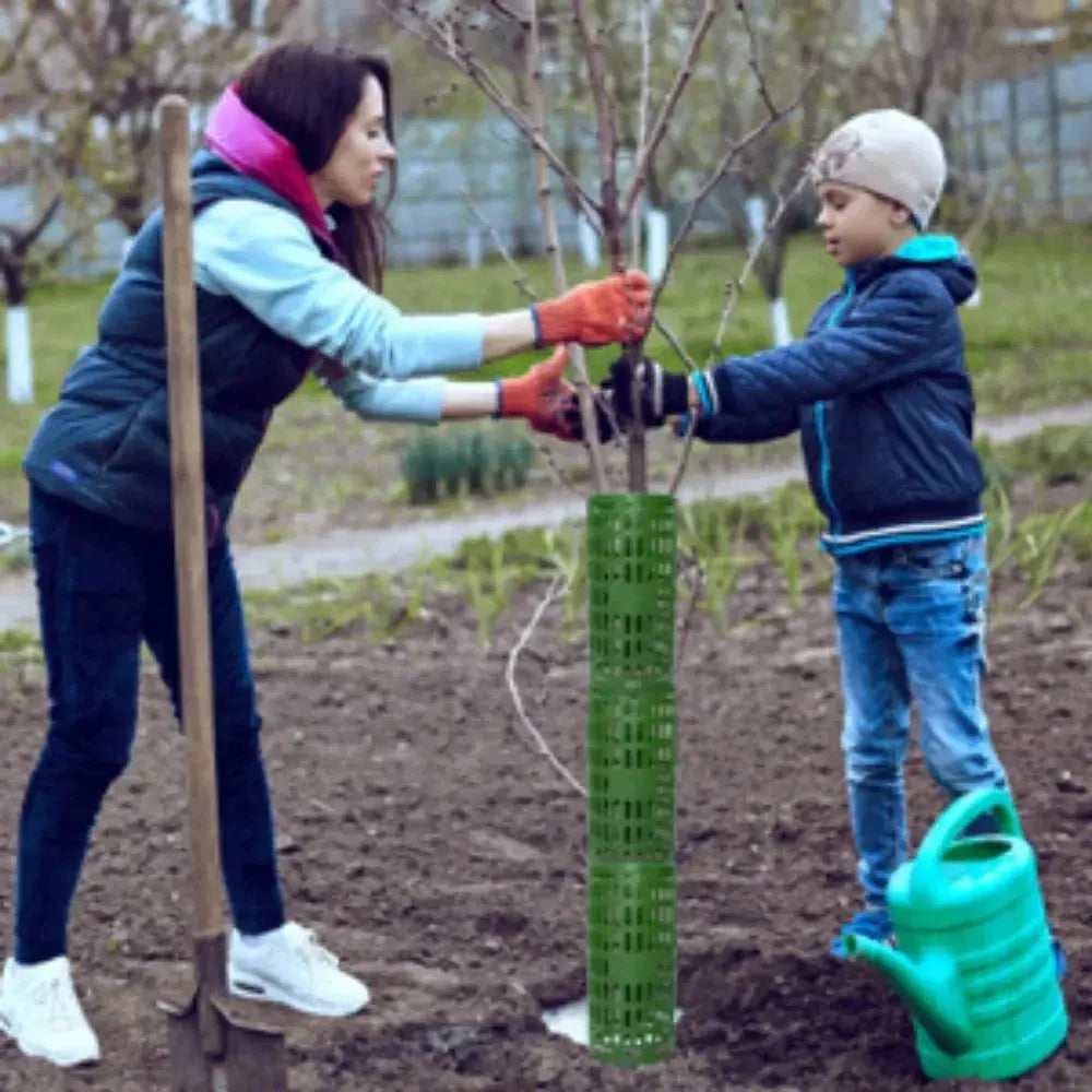 Voile Hivernage Plastique Protecteur ARBOLIS Housse de France