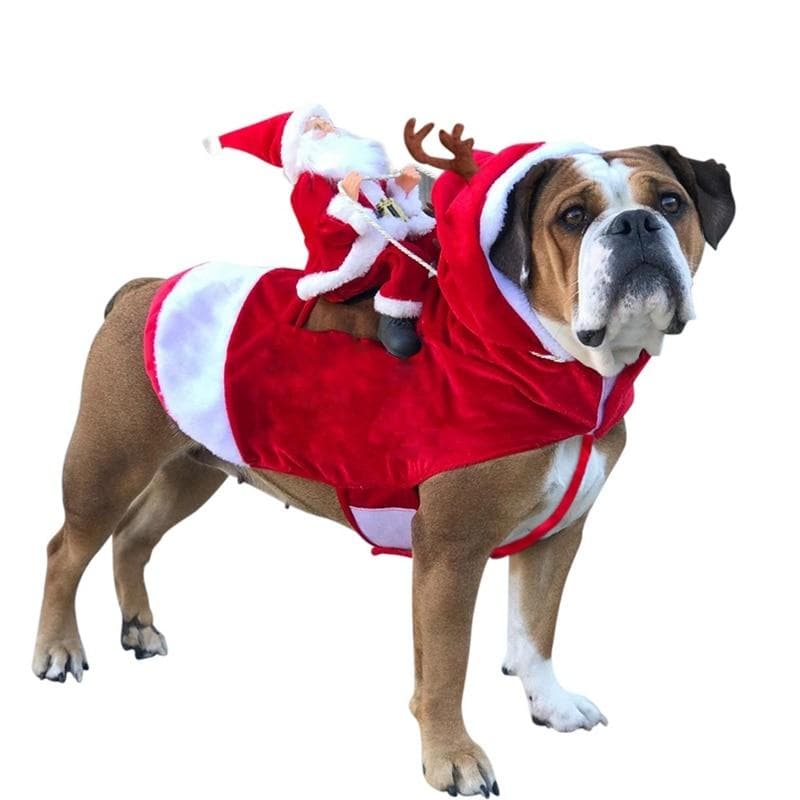 Costume Mignon de chien Père Noel - Housse De France | Housse De France