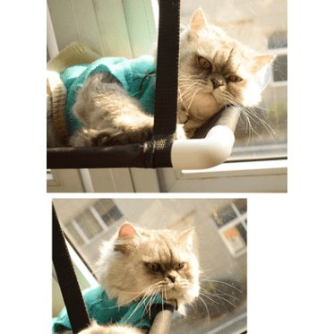 Hamac litière de chat avec ventouse pour fenêtre